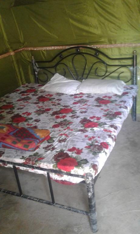أرامبول Shanti Guest House المظهر الخارجي الصورة